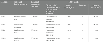 Image result for Elephantorrhiza goetzei