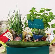 Idee Zum Vatertag Oder Geburtstag Planter Pots Plants Planters