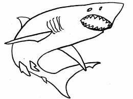 coloriage requin 14696 gif clipart best coloriages de pays cultures usa nebraska