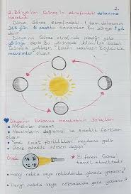 lizzimcheedlishvilii adli kullanicinin fen bilimleri 4 panosundaki pin egitim faaliyetleri dorduncu sinif ders calisma ipuclari