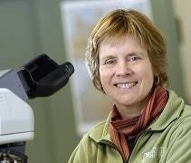 Cathy Whitlock Appointed Montana State University Regents Professor