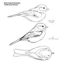 Plans For Wood Carving Birds Bing Images Wood Carving Patterns Bird Carving Patterns Dremel Wood Carving