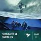 Sounds & Swells — Art Of Elan event image