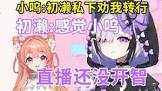 哎小呜 (VTuber)