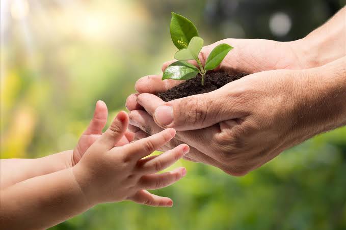 Sustainable Growth – 3i Logistics (Pvt.) Limited