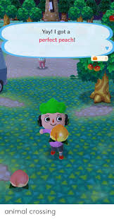 She may have gotten her name from of the color of her skin, which is pink like a peach. Yay I Got A Perfect Peach Animal Crossing Reddit Meme On Me Me