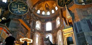 Ela conta que o assunto surgiu após. Gli La Gata Mas Famosa De Turquia No Sera Desalojada