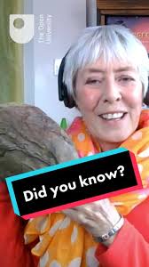 Exploring Volcanoes in the UK