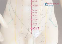 Conception Vessel 2 Ren 2 Qugu Acupuncture Points