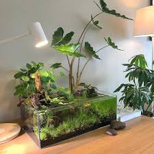2 768 Likes 93 Comments James Wong Botanygeek On Instagram Pretty Happy With My First Attempt At An Aquascape N Indoor Water Garden Indoor Pond Plants