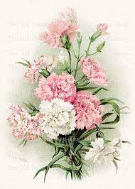 Frances Walker Pink And White Carnations Vintage Printable Etsy Flower Art Flower Printable Carnation Flower