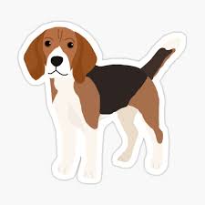 • made of 100% organic cotton. Beagle Gifts Merchandise Redbubble