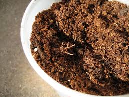 Check spelling or type a new query. Worm Castings How To Make Earthworm Castings And Use Them