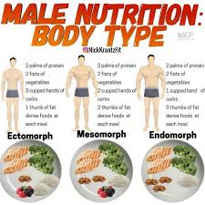 Good Clean Foods For Gaining Lean Muscle Mass Endomorph