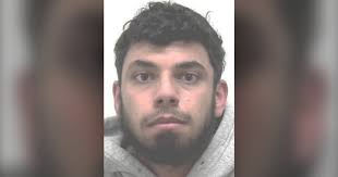 Calgary man sentenced to 5 years for manslaughter in traffic stop death of  Sgt. Andrew Harnett