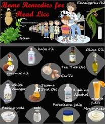 Remove Lice In Hair With These Home Remedies Anti Lice Treatments To Kill Head Lice Nits Permanently Natural Ways To Head Lice Remedy Head Louse Lice Removal Both almond oil and olive oil are effective home remedies for lice, as they work to smother or suffocate lice, slowing them down to make them easier to remove with a comb.