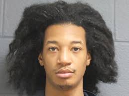 11 sentences by Muskegon County Chief Circuit Judge William C. Marietti