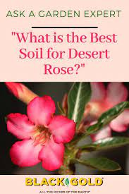 Pin On Ask A Garden Expert Q A