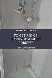 Ingenious Tricks To Get Rid Of Bathroom Mold Forever Mold In Bathroom Shower Mold Cleaning Shower Tiles
