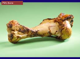 Check spelling or type a new query. Suppliers Of Dog Pet Treats Products In Ireland Europe Beef Marrow Bones