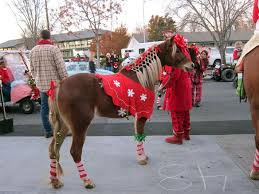 The Big Deal Of The Day Was A Christmas Parade Description From Juliesdoodleblog Wordpress Com I Searched For This On Bing Com Images Cavalos Felino