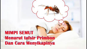 Maybe you would like to learn more about one of these? Mimpi Semut Menurut Tafsir Primbon Cara Menyikapinya Youtube