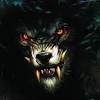 Black wolf high quality wallpapers download free for pc, only high definition wallpapers and all pictures are absolutely free for your convenience, you can download wallpapers black wolf pack by. Https Encrypted Tbn0 Gstatic Com Images Q Tbn And9gcq96v7uibcs7ccu0uhjfi3axpdptxzazdghpbmk Hw Usqp Cau
