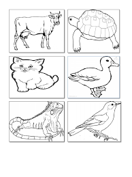 Gambar bunga hitam putih untuk mewarnai kumpulan gambar kumpulan gambar hitam putih bw untuk diwarnai gambar sumber gambar : Hitamputih Haiwan Gambar Haiwan