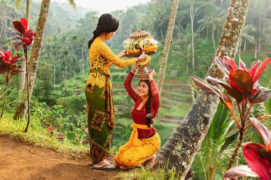 Tegalalang Rice Terraces Guide 2026: All You Need to Know