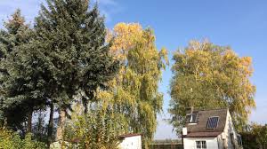 Güde 94667 hww 3100 k hauswasserwerk (600w. Energie Autark Leben Gegen Den Strom Und Trotzdem Energiegeladen Non At