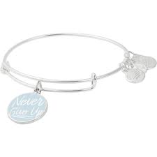 Alex And Ani Never Give Up Charm Bangle Bracelet Fashion Bracelets Jewelry Watches Shop The Exchange