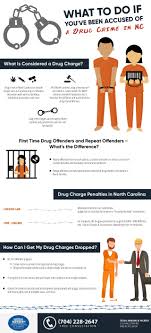Pin On Crime Infographic