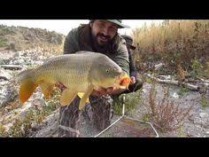 Kosova Batlava Golu Sazan Avi Float Fishing For Carp 11 Bolum 2020 Balik Sazan