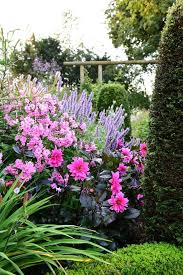 Planting Combinations Low Maintenance Garden Design Garden Design Beautiful Gardens