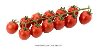 Image result for tomato Datterino