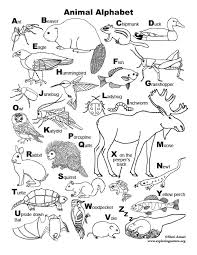 It is time to upgrade the writing performance. Animal Alphabet Coloring Page