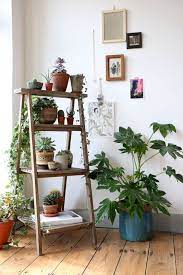 tremendous vintage decorating ideas for a perfect summer インテリア 収納 植物の装飾 室内 植物