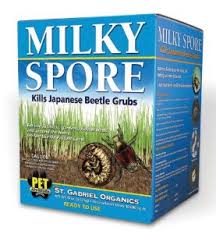 Removing debris and keeping grass short ensures that different areas of your yard are draining properly. Mole And Vole Prevention Fairview Garden Center
