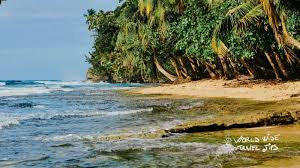 State department have coordinated with united airlines to offer a commercial flight from juan santamaria airport (sjo) in san jose, costa rica to houston, texas (iah) on monday, april 20. 5 Stunning Beaches In Costa Rica San Jose For Your Trip