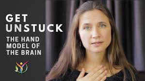 Hand Model of the Brain for KIDS by Jeanette Yoffe Dan Siegel **Now Spanish  French Italian Captions