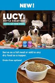 Free mobile spay/neuter clinics in underserved communities throughout the. Lucy Pet Foundation Lucypetfdn Profile Pinterest