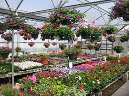 There will be fun events for the whole family and free ice cream! Schulte S Greenhouse Nursery And Garden Center St Michael Albertville Minnesota