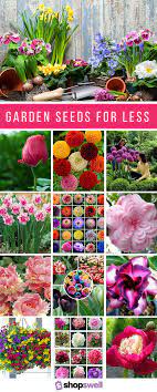 Garden For Less 18 Insanely Cheap Flower Seeds That Get Rave Reviews Shopswell Flower Seeds Flower Garden Garden Seeds