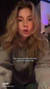 Meet Miss Molly: The Adorable Munchkin Cat