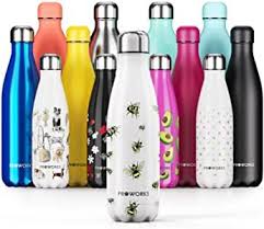 Bouteille D Eau Isotherme Sans Bpa Gourde Inox Bouteille D Eau Gourde Inox Bouteille