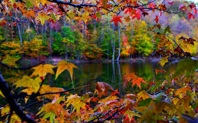 صور طبيعية