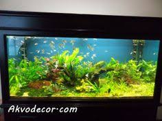 Selamat datang di thread info dan sharing seputar aquascape. 17 Aquarium Air Laut Ideas Aquarium Air Jakarta