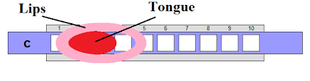Harmonica tilted against the cheek. Harmonica Lesson For Beginners Harmonica Club