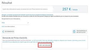 Le revenu de solidarité active (rsa), la prime d'activité et l'aah (allocation adulte handicapé): Prime D Activite Auto Entrepreneur 2021 Calcul Du Montant Simulation