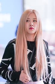 Avocado V On Twitter In 2020 Rose Hair Hair Styles Hairstyle